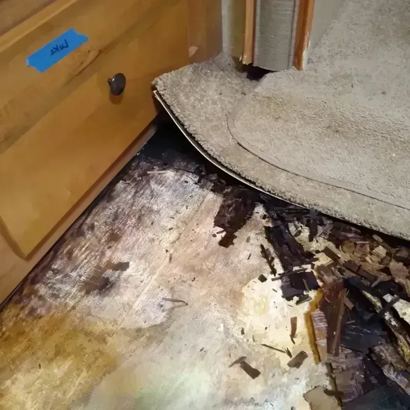 Wood Floor Water Damage in Strasburg, PA